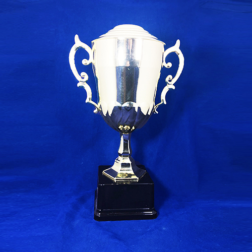 Copa Plástica C22