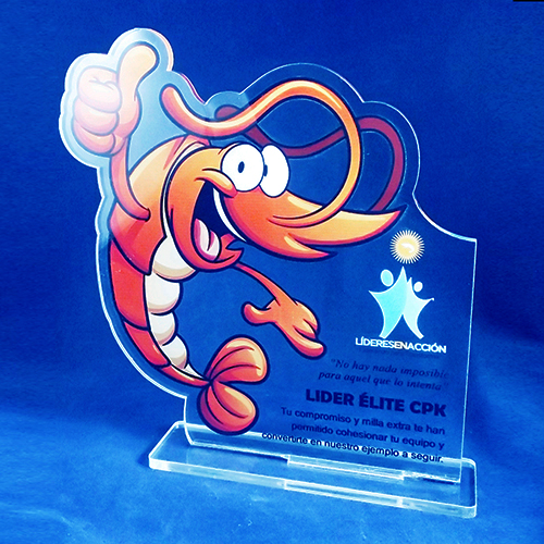 Placa de Acrílico Especial